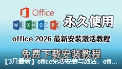 office免费安装与激活，office2024正式版 安装激活教程一键安装激活word、excel-金光福宝
